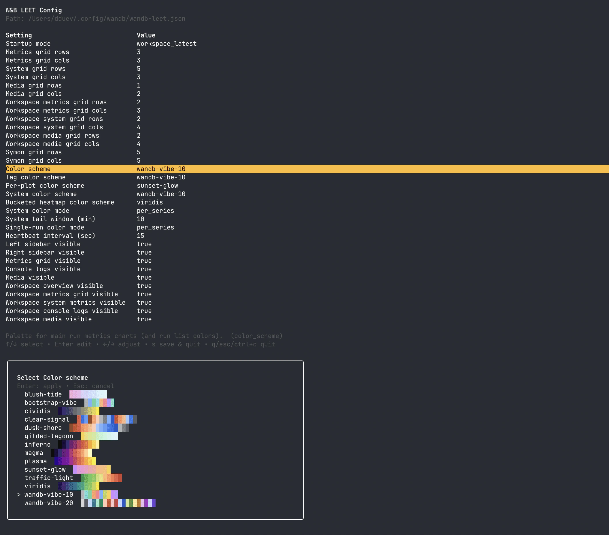 W&B LEET config editor showing grid settings, color schemes, visibility settings, and palette selection.