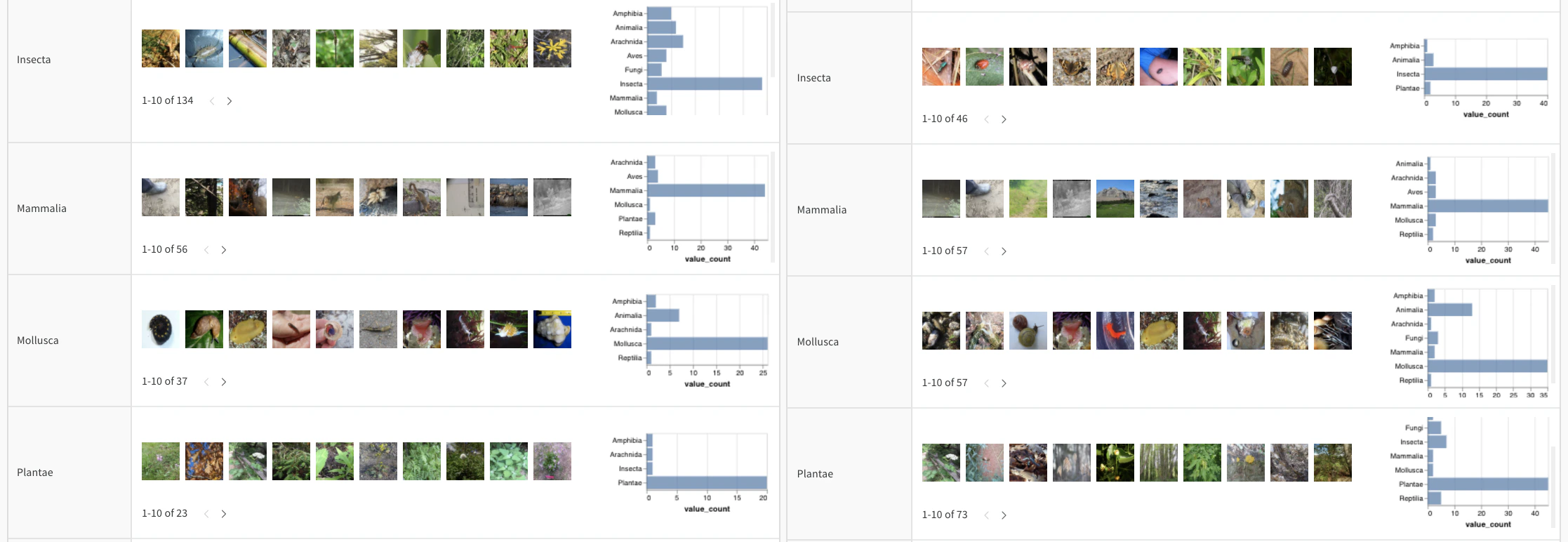 Compare the distribution of true labels across two different models predictions.