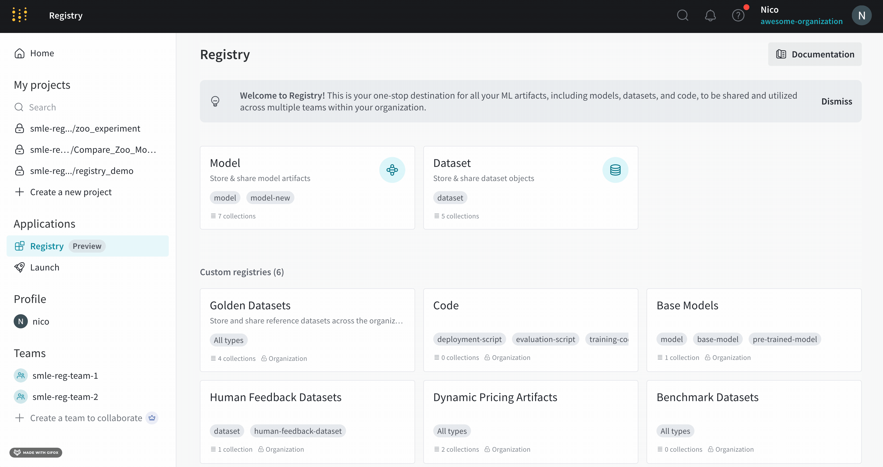 Adding tags to a Registry collection