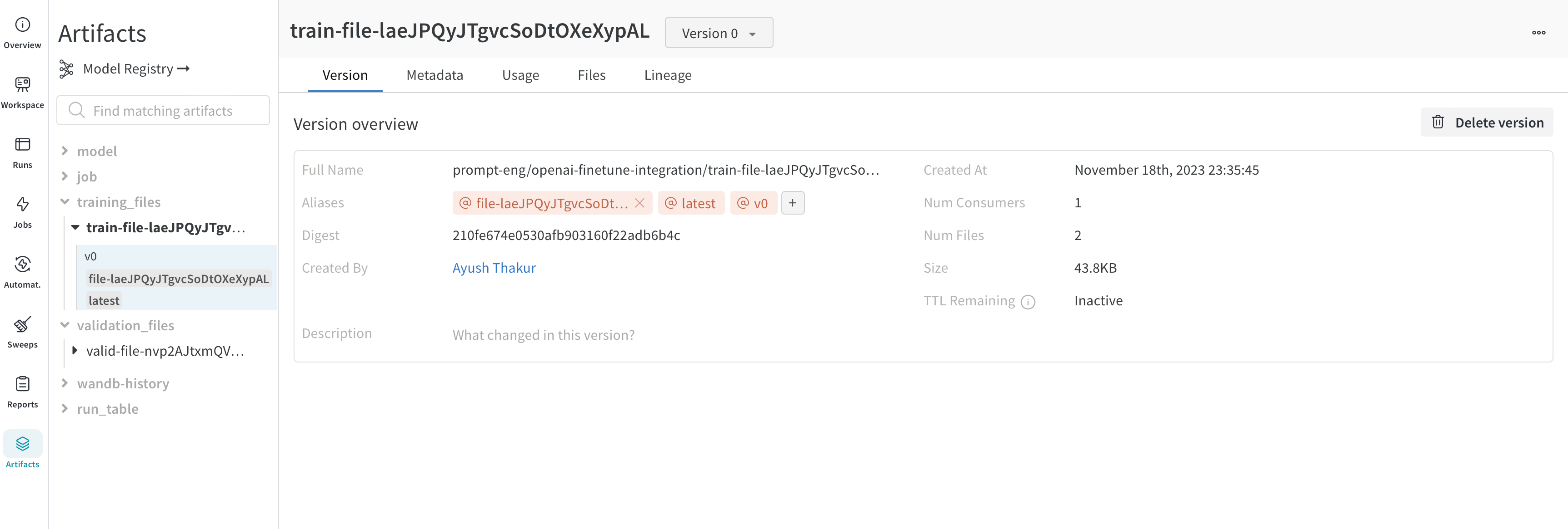 W&B Artifacts with training datasets