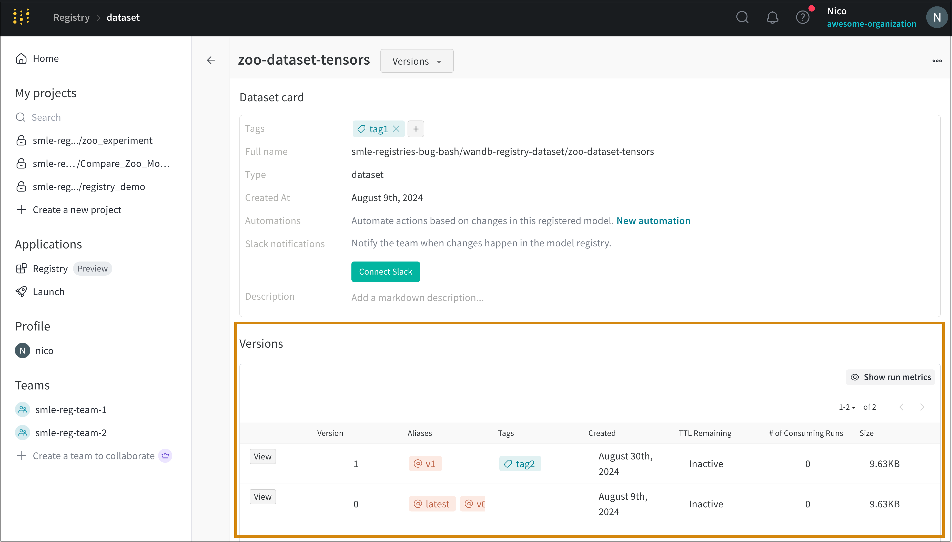 Artifact version with tags