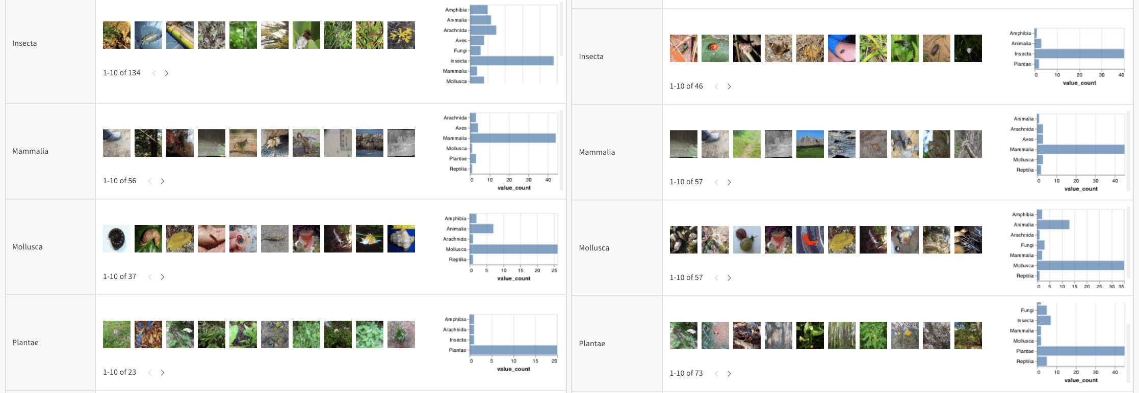 Compare the distribution of true labels across two different models predictions.