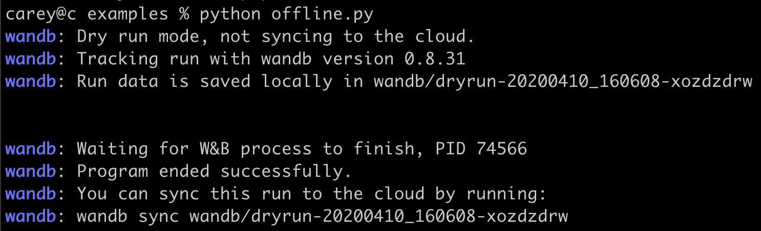 Offline mode terminal output