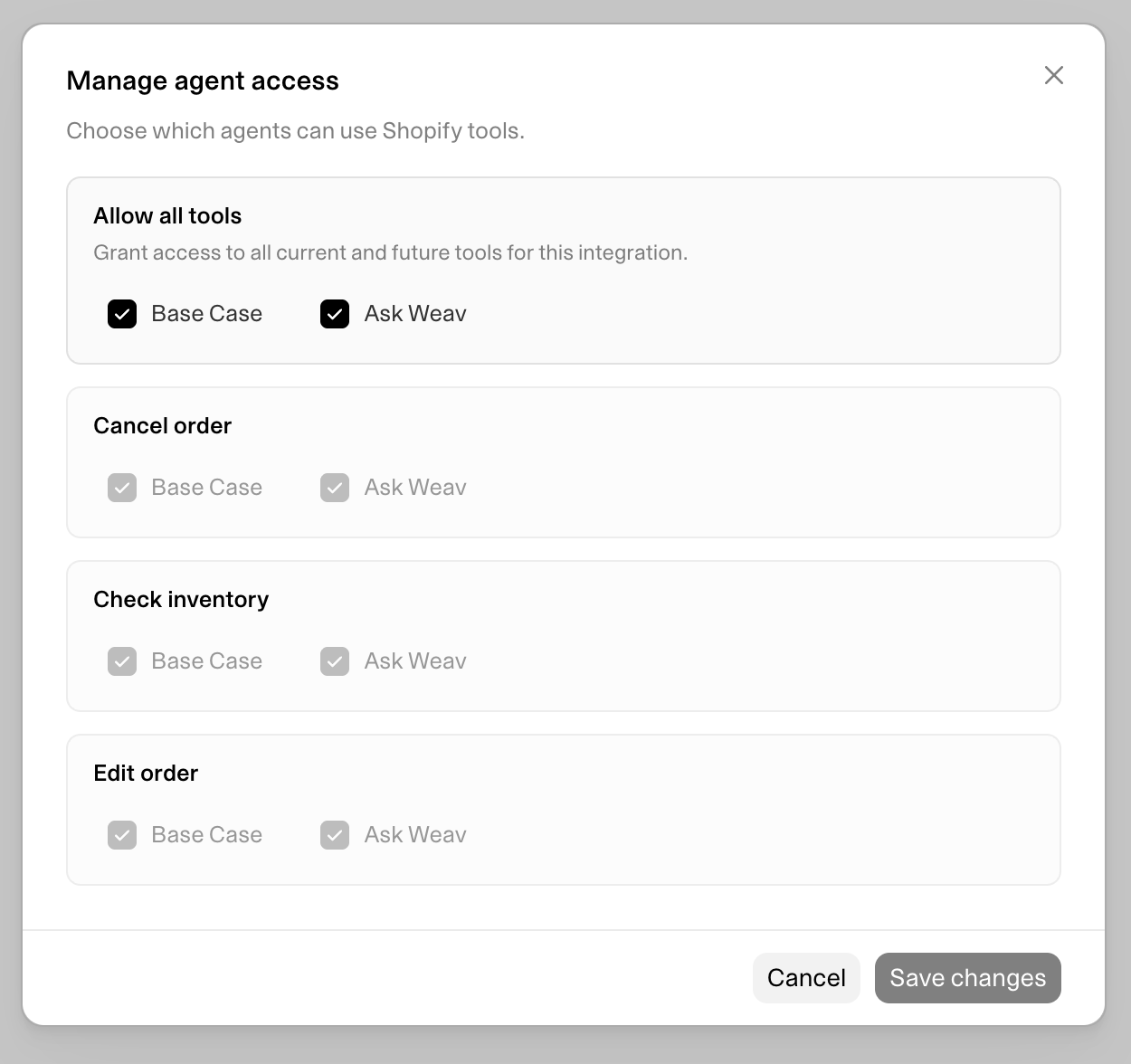 Shopify Ai Agent Access
