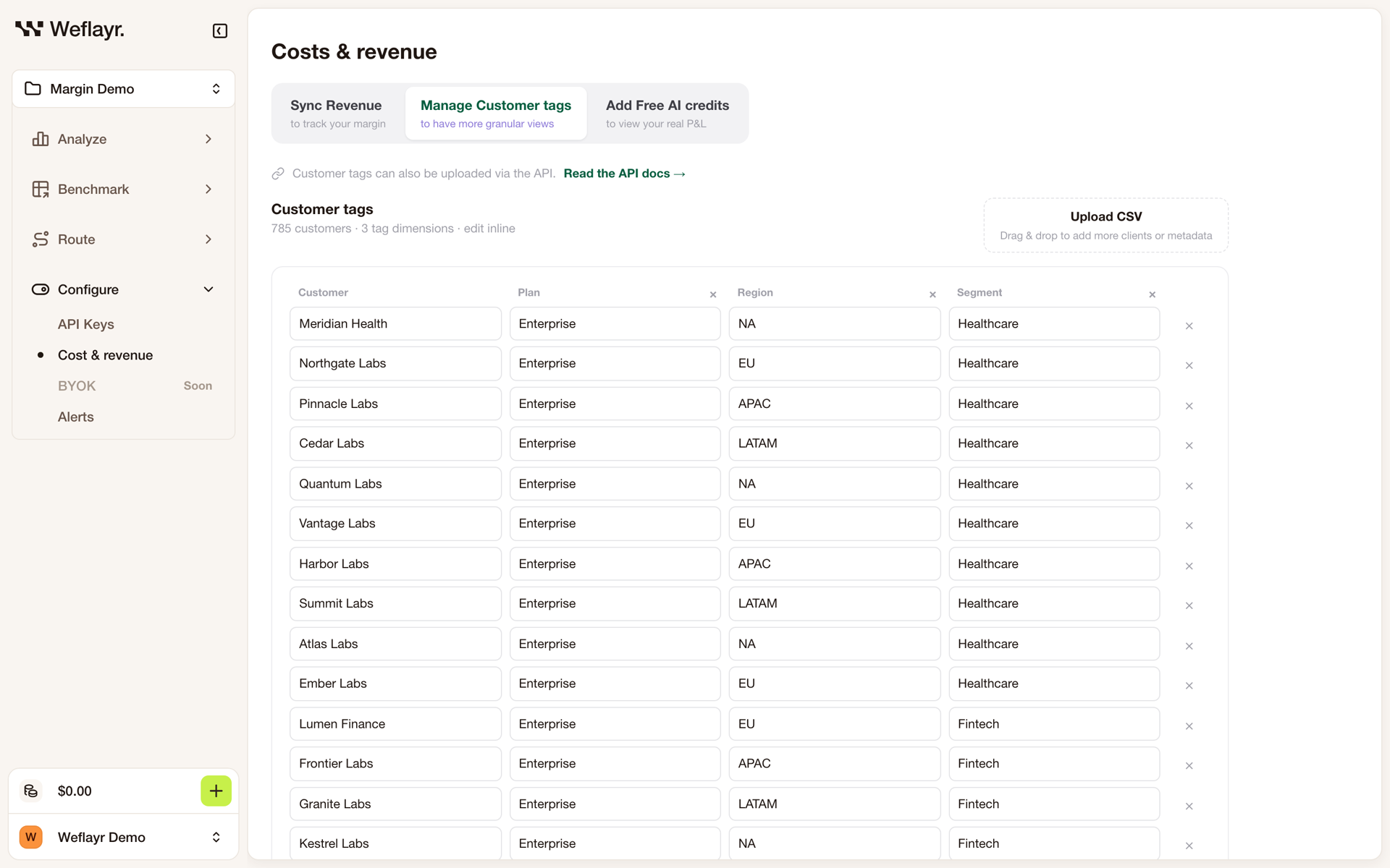 Manage Customer tags tab with a table of customers and their plan, region and segment