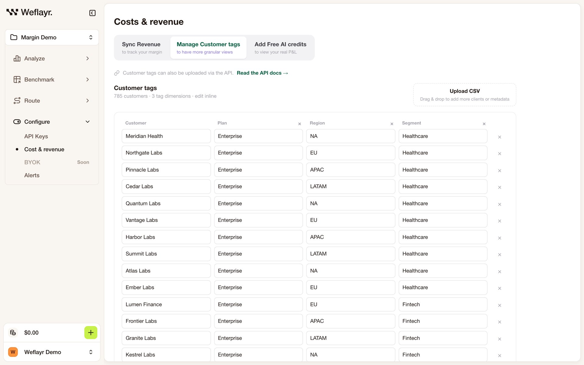 Manage Customer tags tab with a table of customers and their plan, region and segment