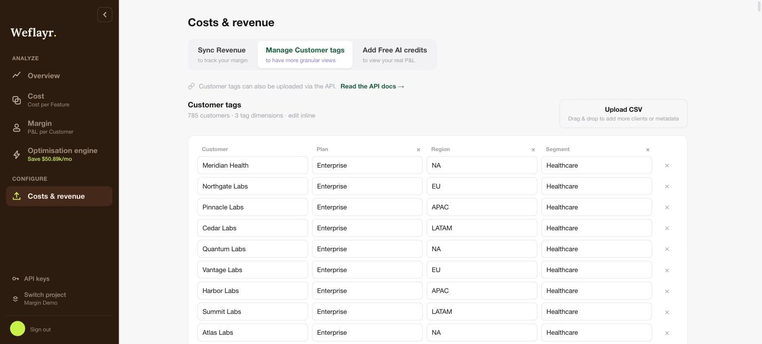 Manage Customer tags tab