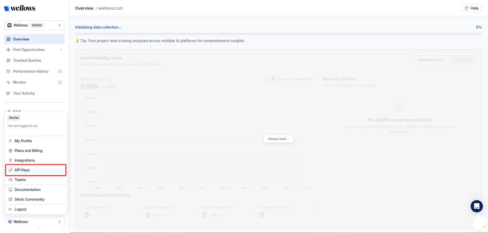 Navigate to API Keys