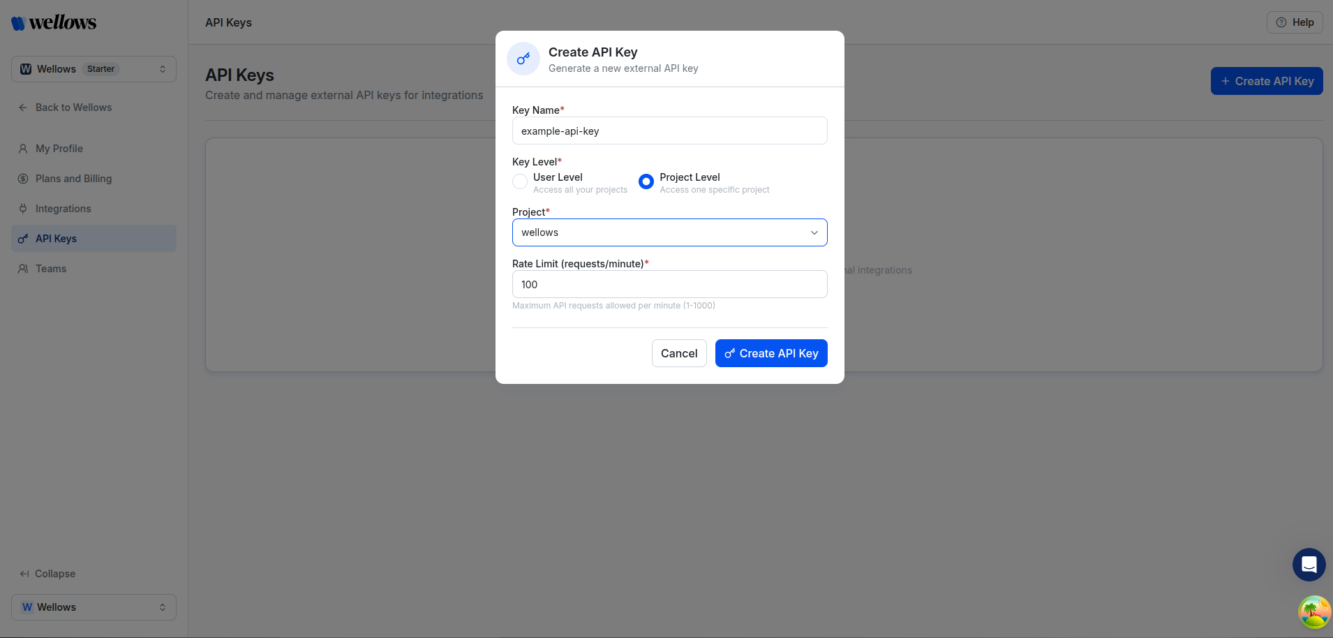Configure API Key - Project Level