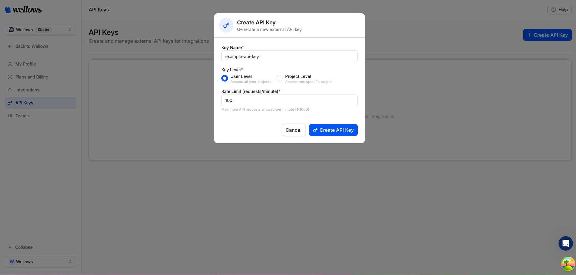 Configure API Key - User Level