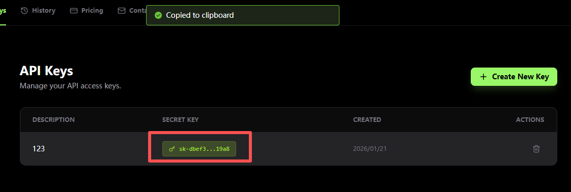 Copy API Key