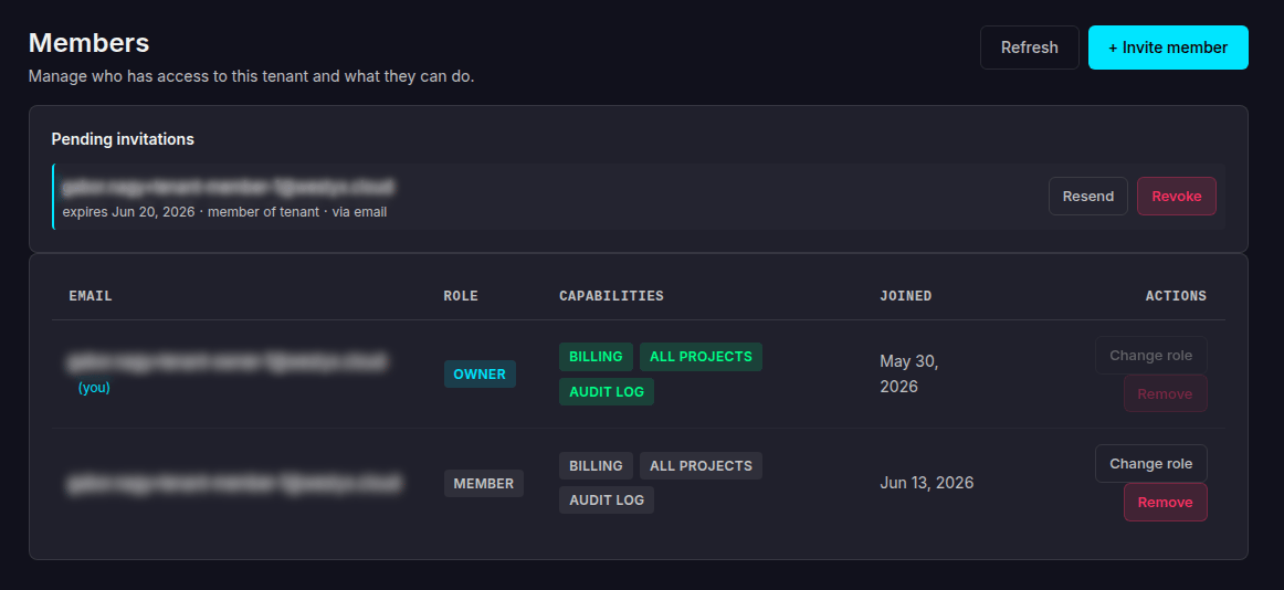 Tenant members page with pending invitations