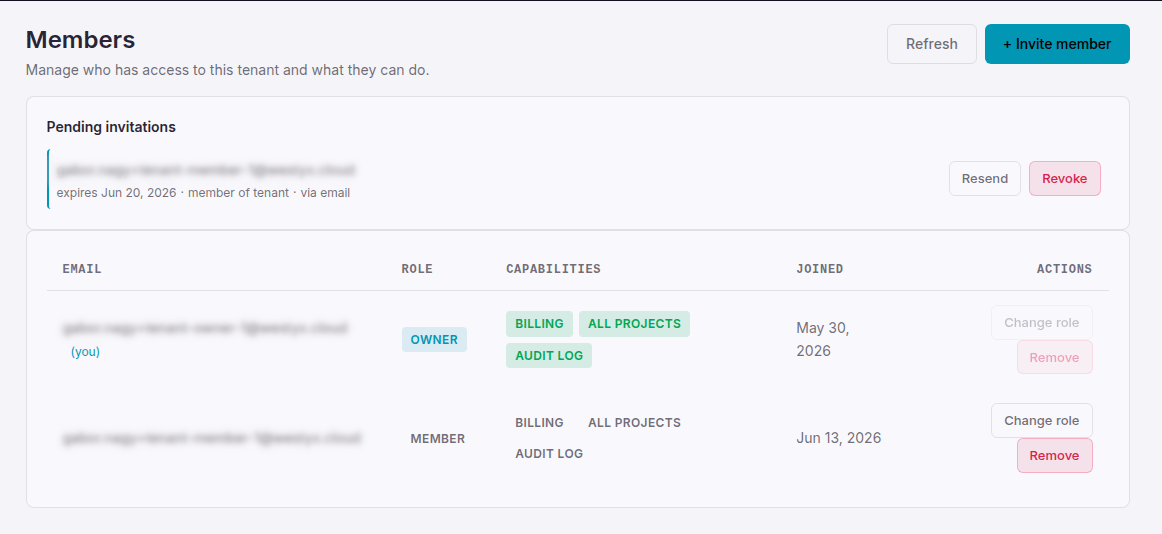 Tenant members page with pending invitations