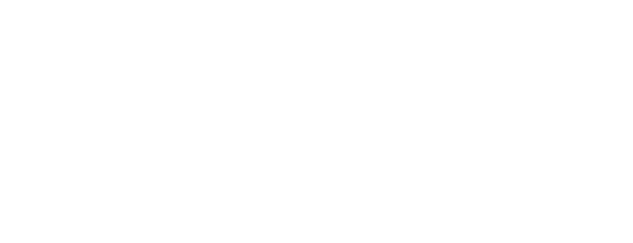 light logo