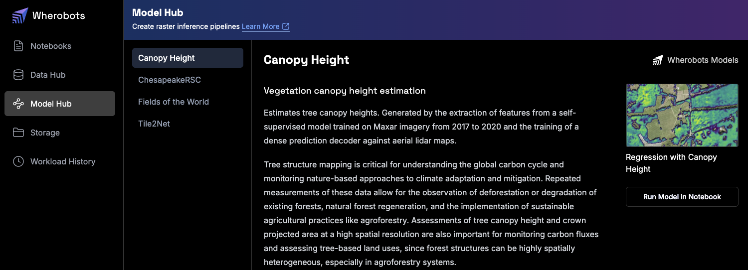 RasterFlow Model Hub