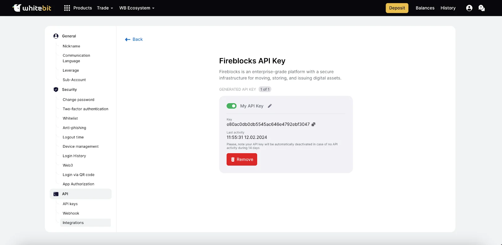 Name and Confirm API Key