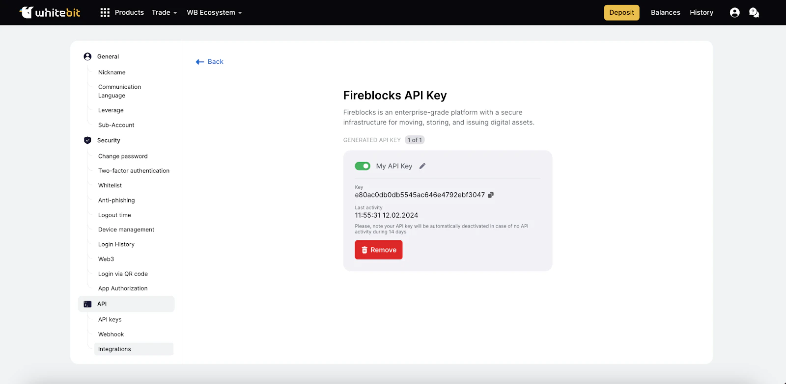 Name and Confirm API Key