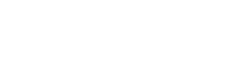 light logo