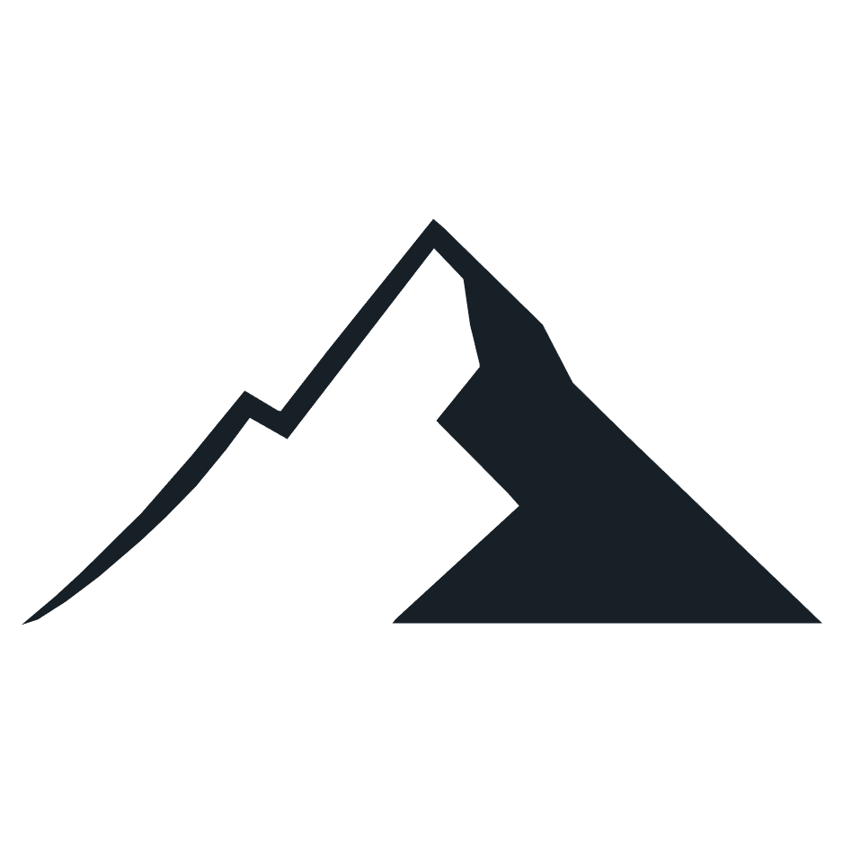 light logo