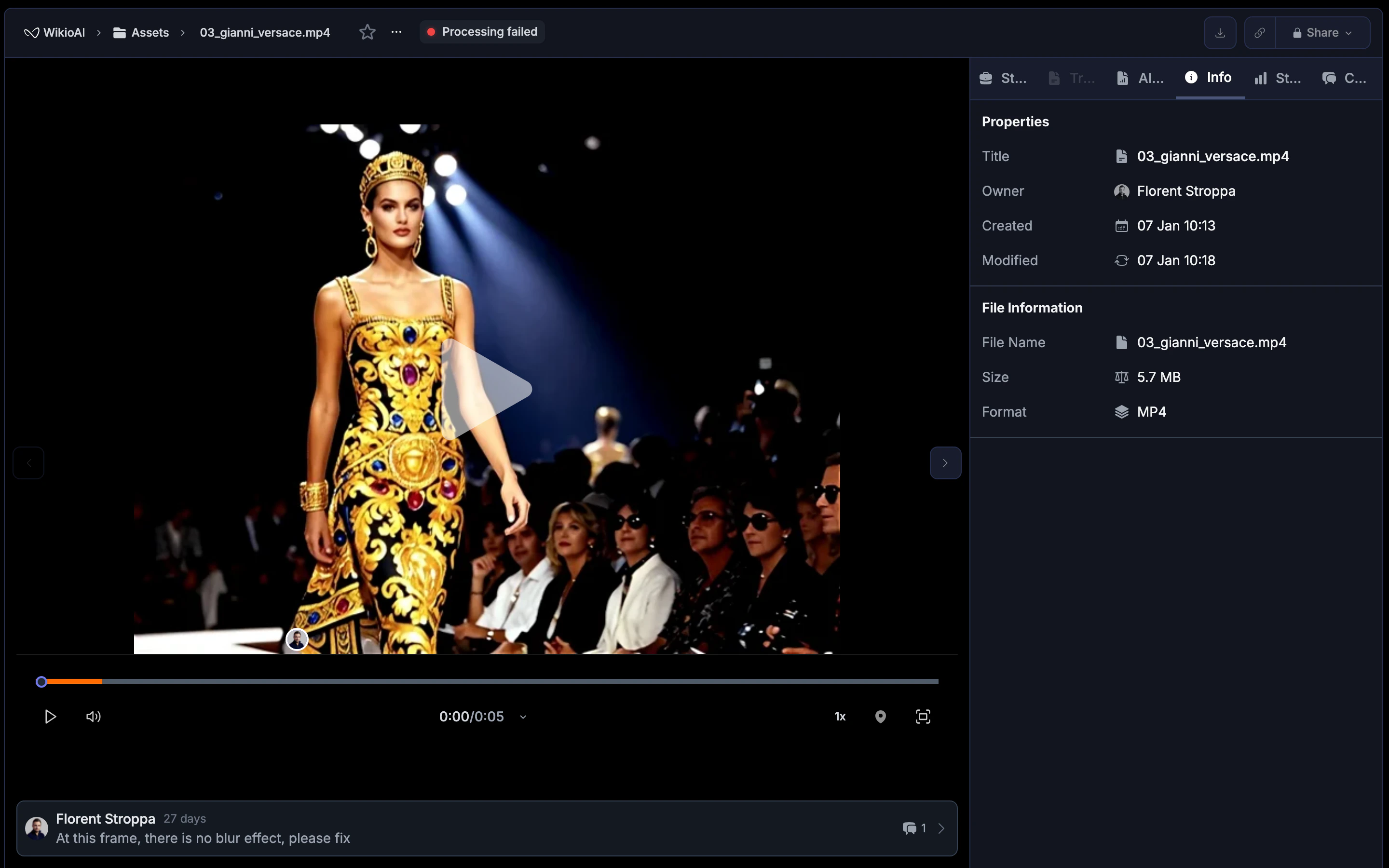 Asset info panel showing properties and file information