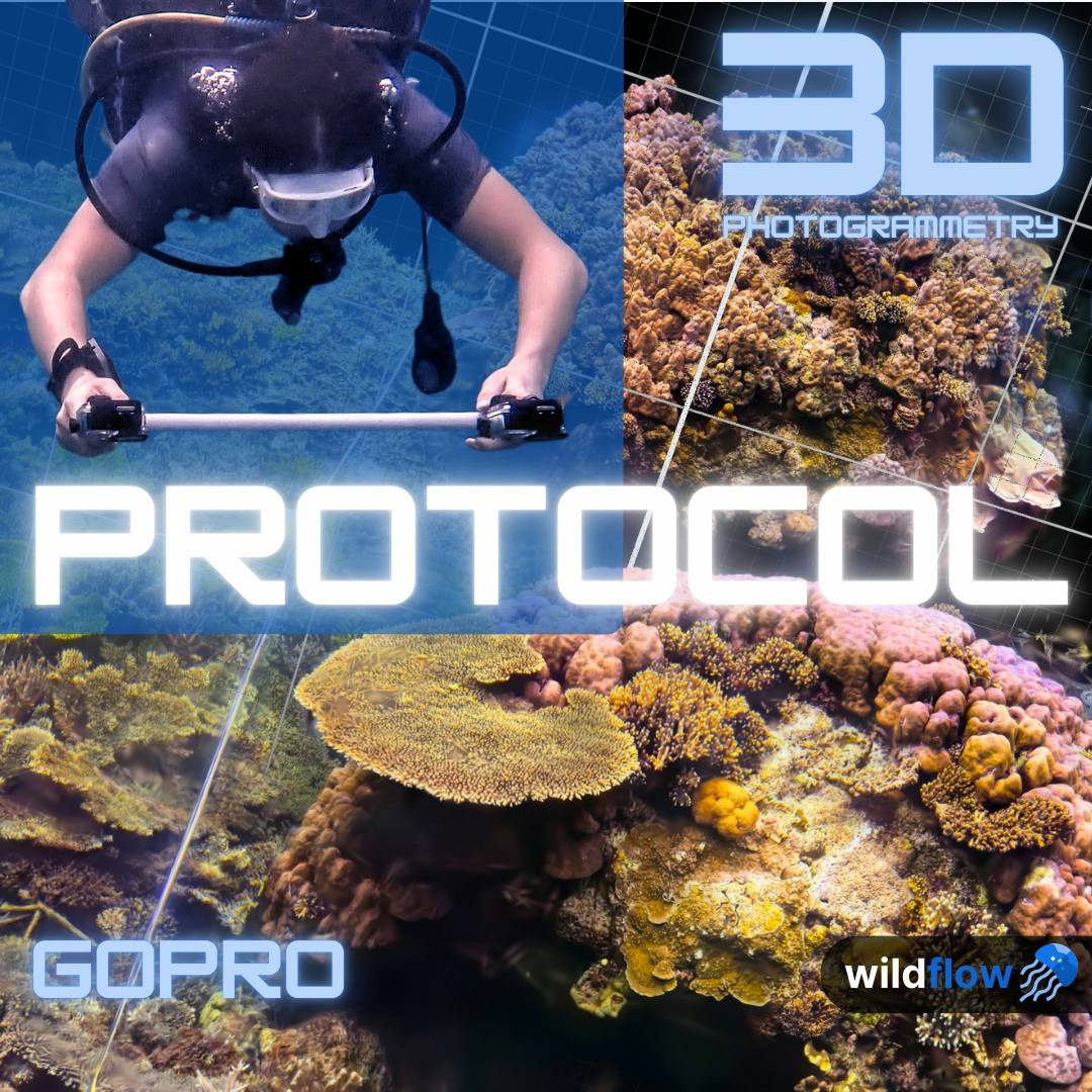 Data Collection Protocol