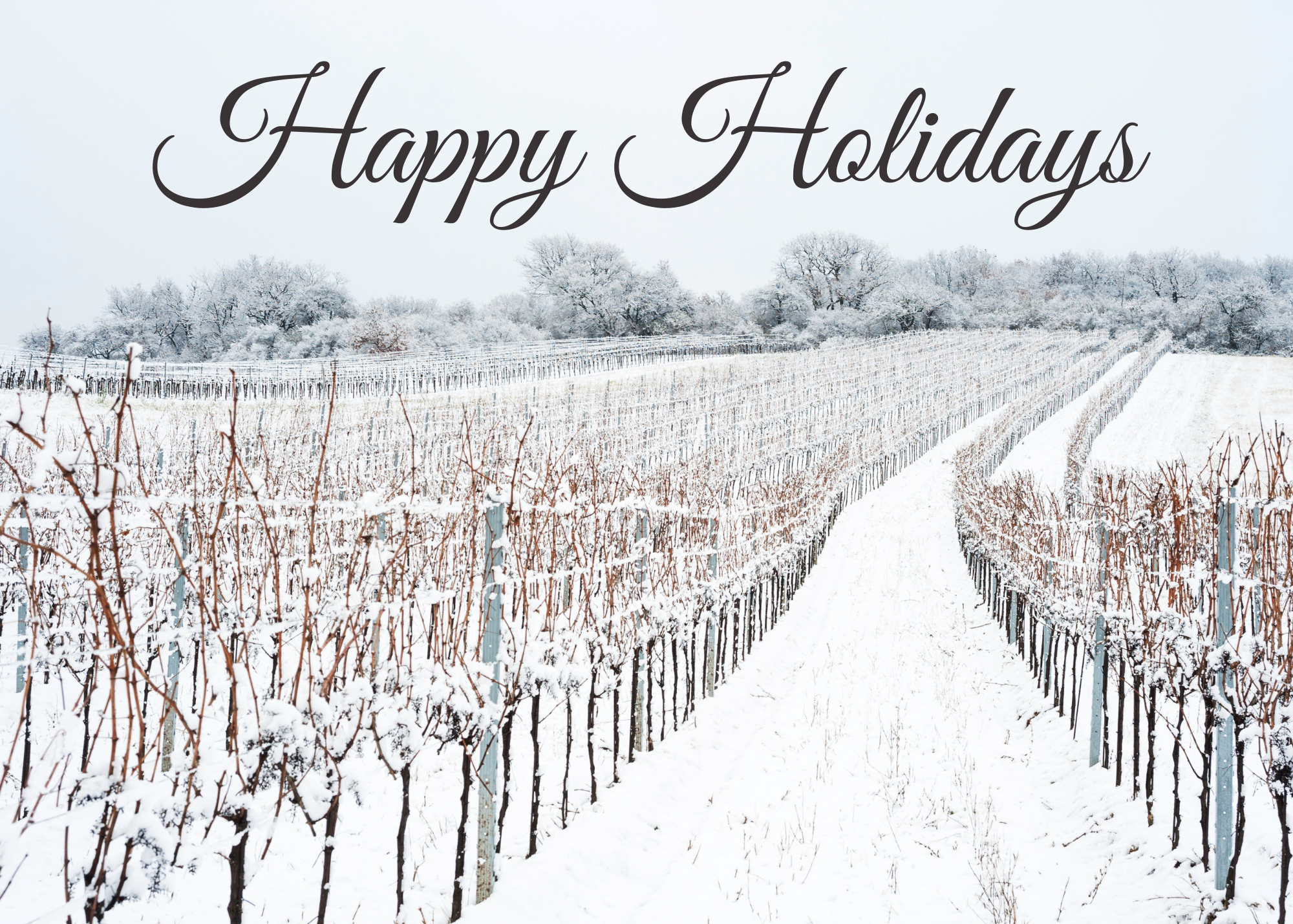 Holiday Winter