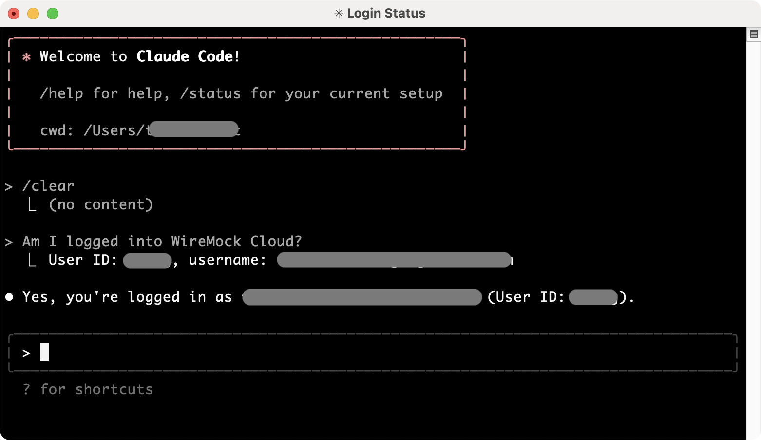Claude Code MCP success