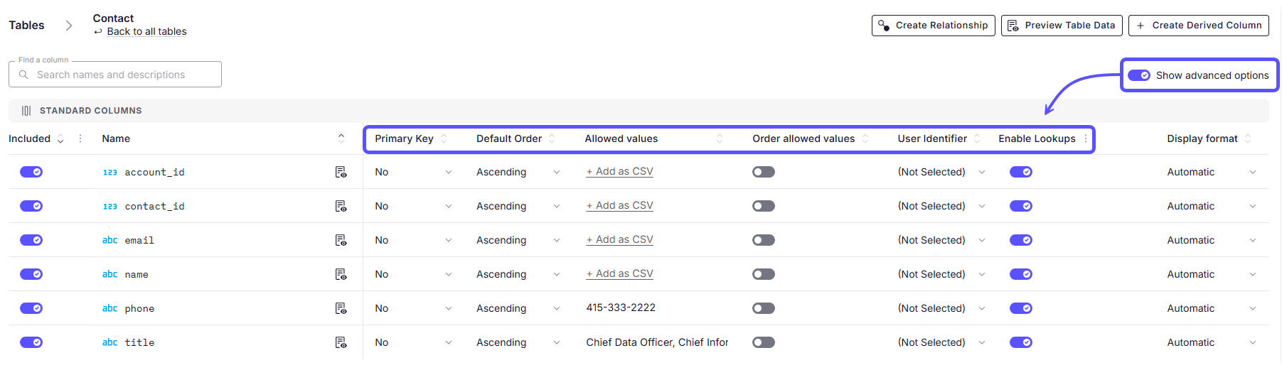 A table view of database columns showing advanced configuration options, such as Primary Key and Allowed Values, enabled by the "Show advanced options" toggle.