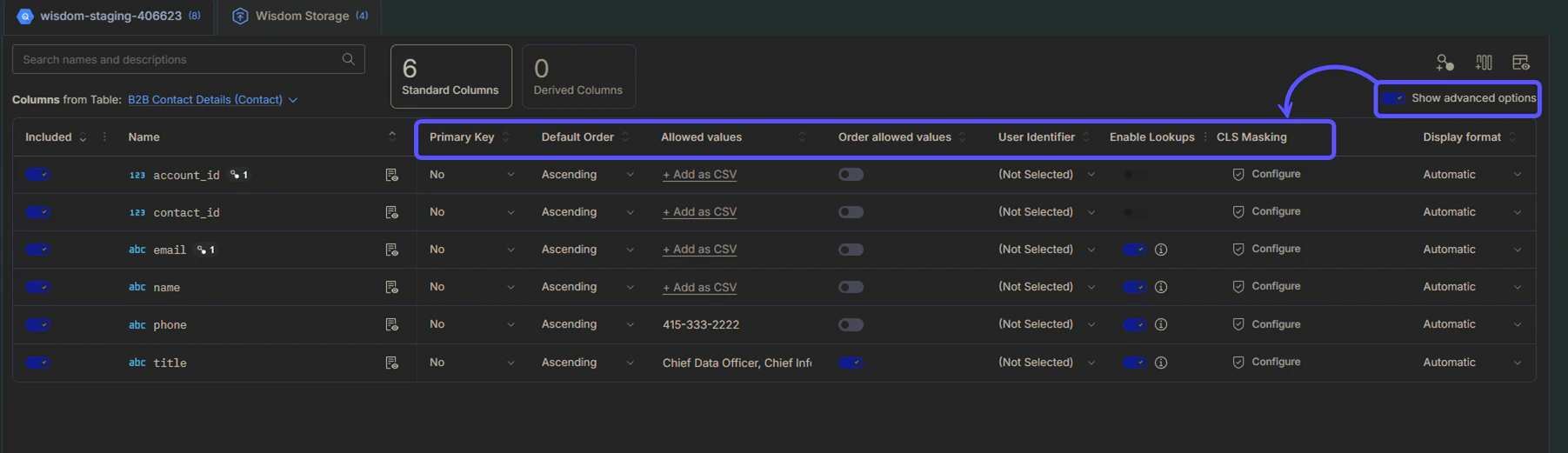 A table view of database columns showing advanced configuration options, such as Primary Key and Allowed Values, enabled by the "Show advanced options" toggle.