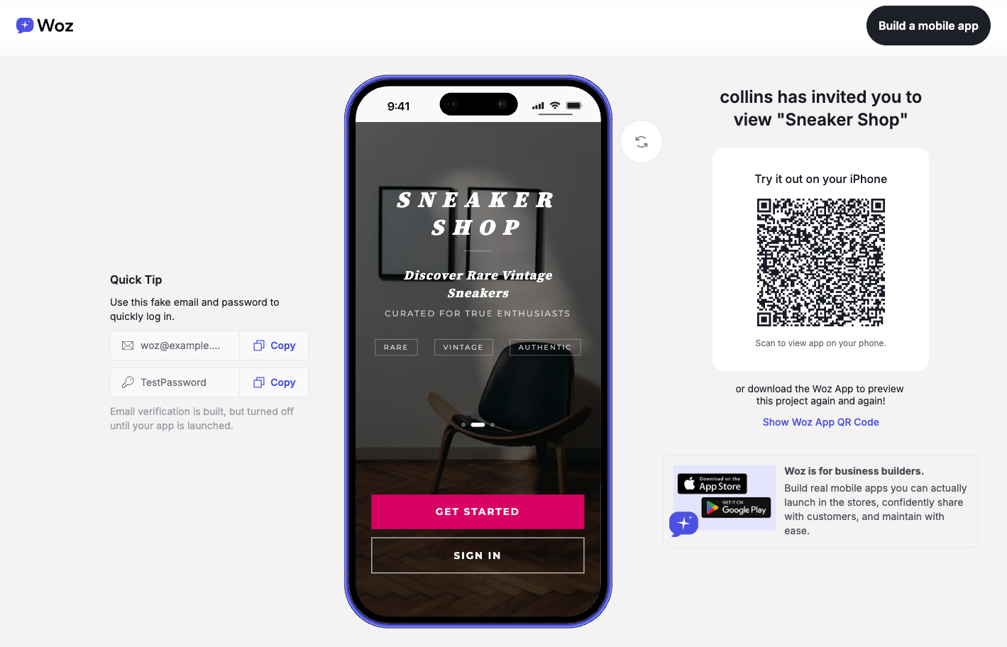 Shareable preview interface