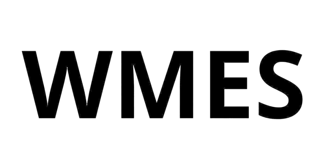 light logo