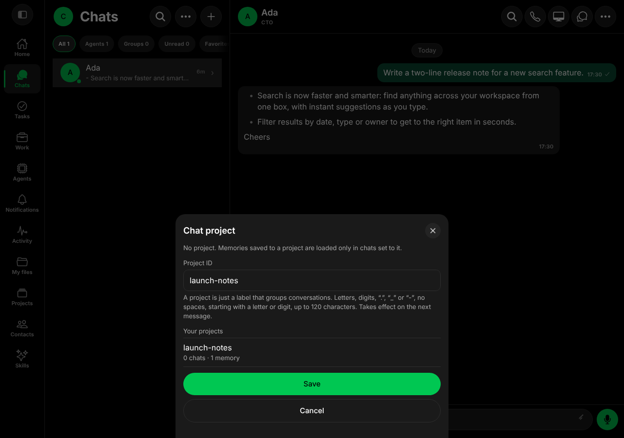 The Chat project sheet with launch-notes entered and Save