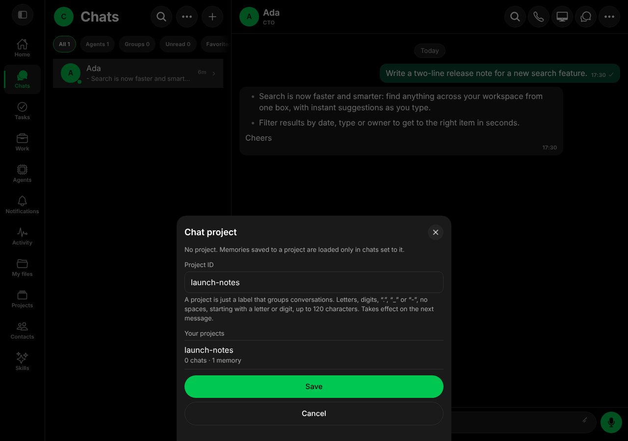 The Chat project sheet with launch-notes entered and Save