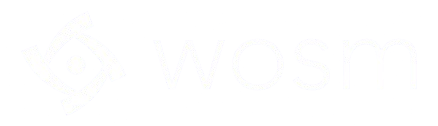light logo