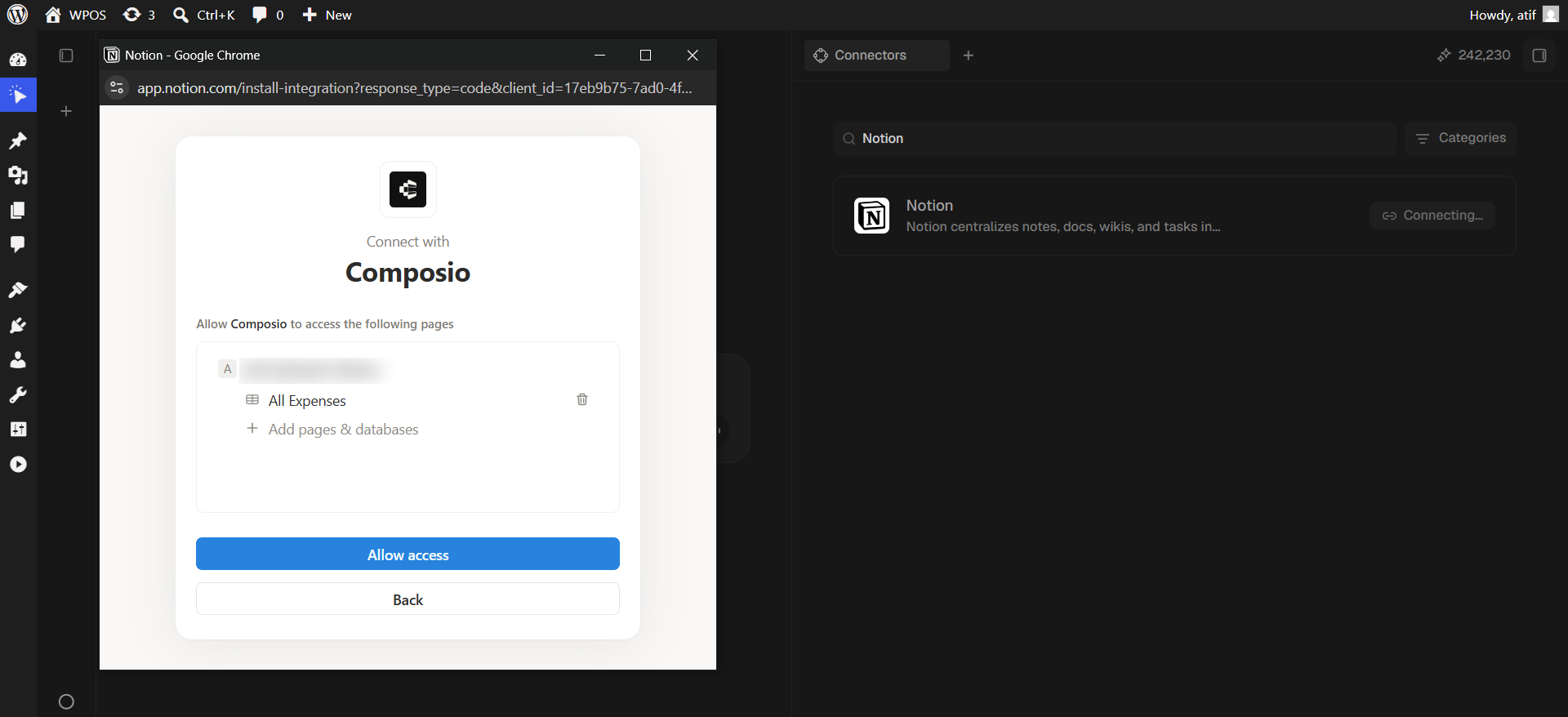 The Notion page selector with one database added and an Add pages and databases link.