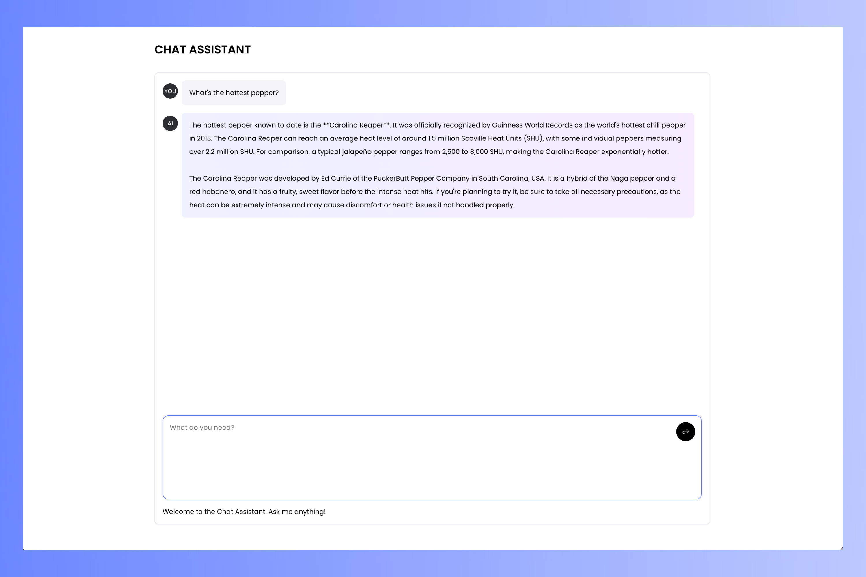 Finished chat assistant project