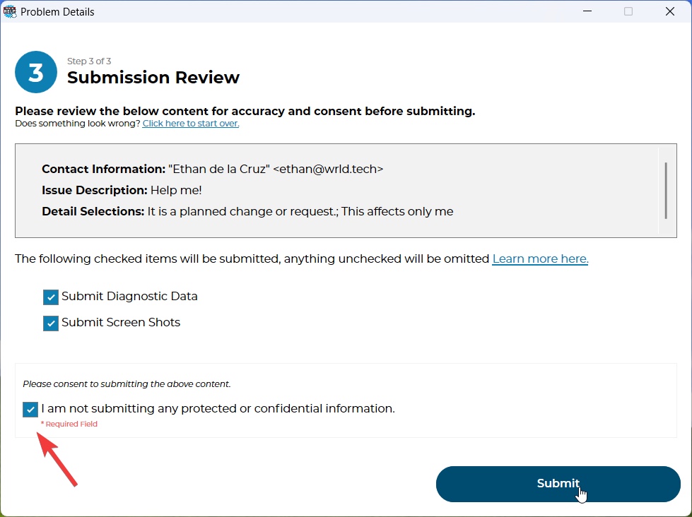Submission review and consent screen