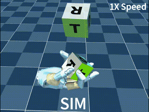 Simulation reorient demo