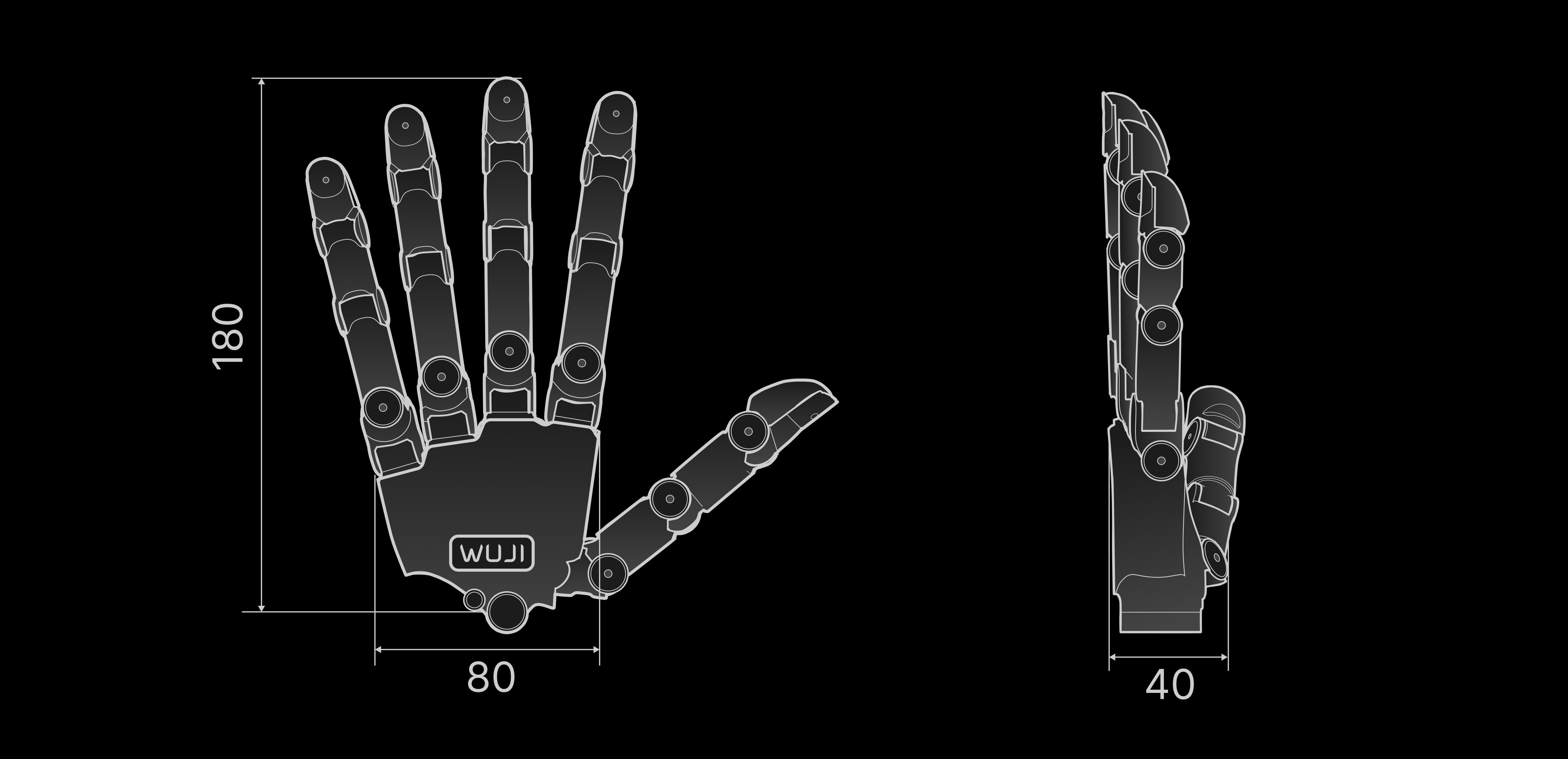 Wuji Hand 2 overall dimensions