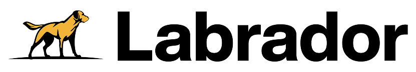 light logo