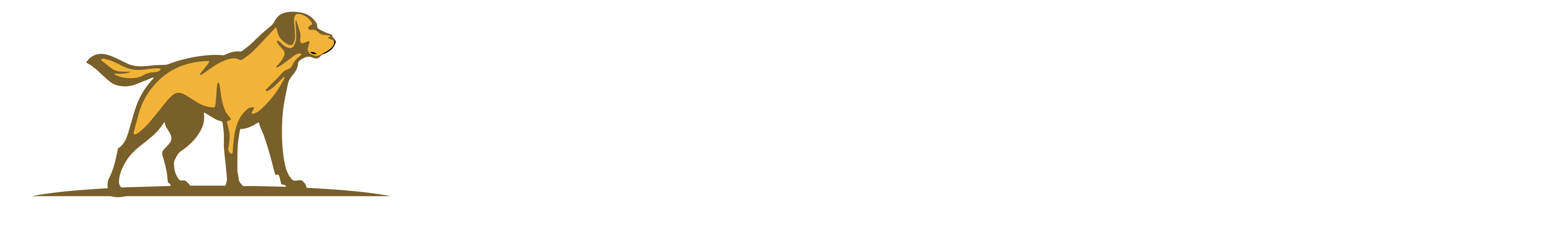dark logo
