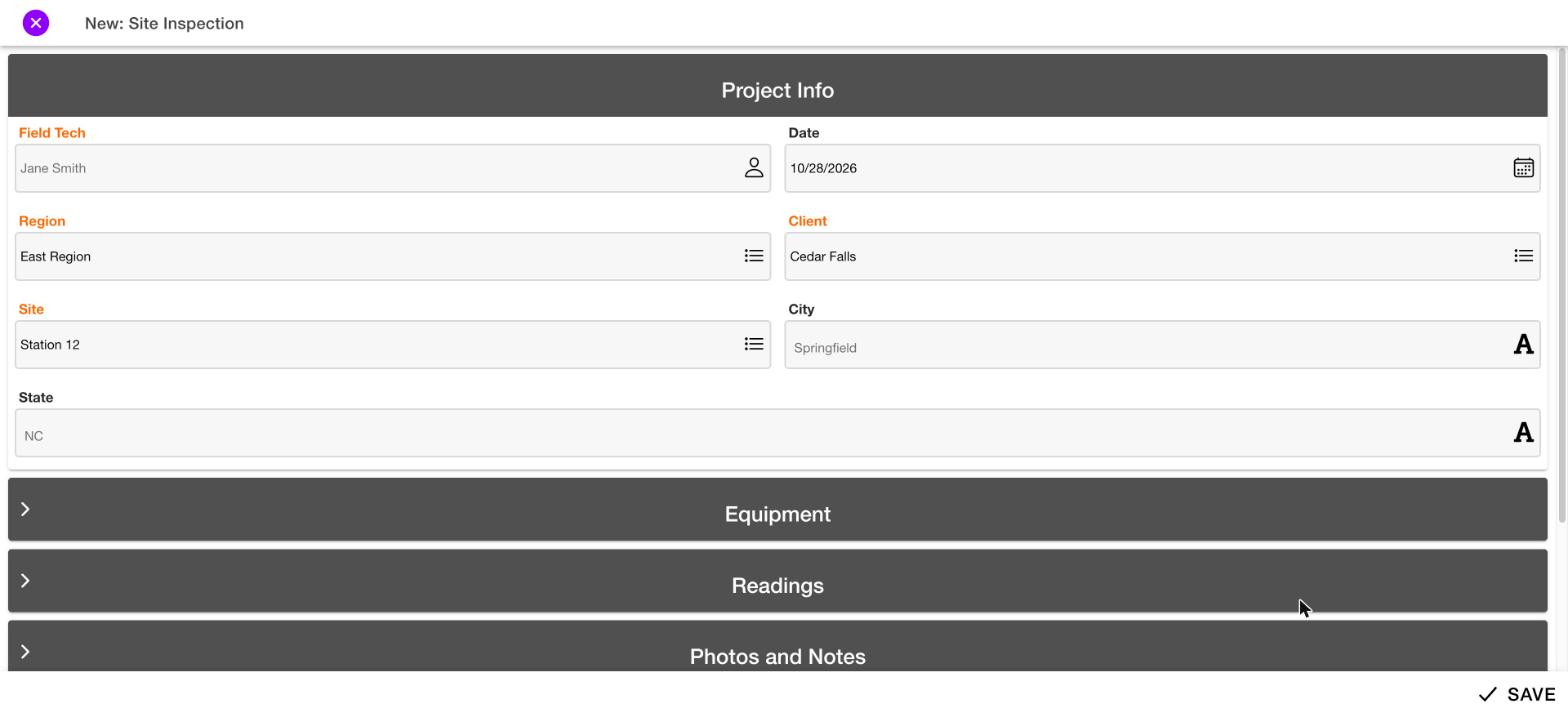 Project Info section of a form filled in with sample values