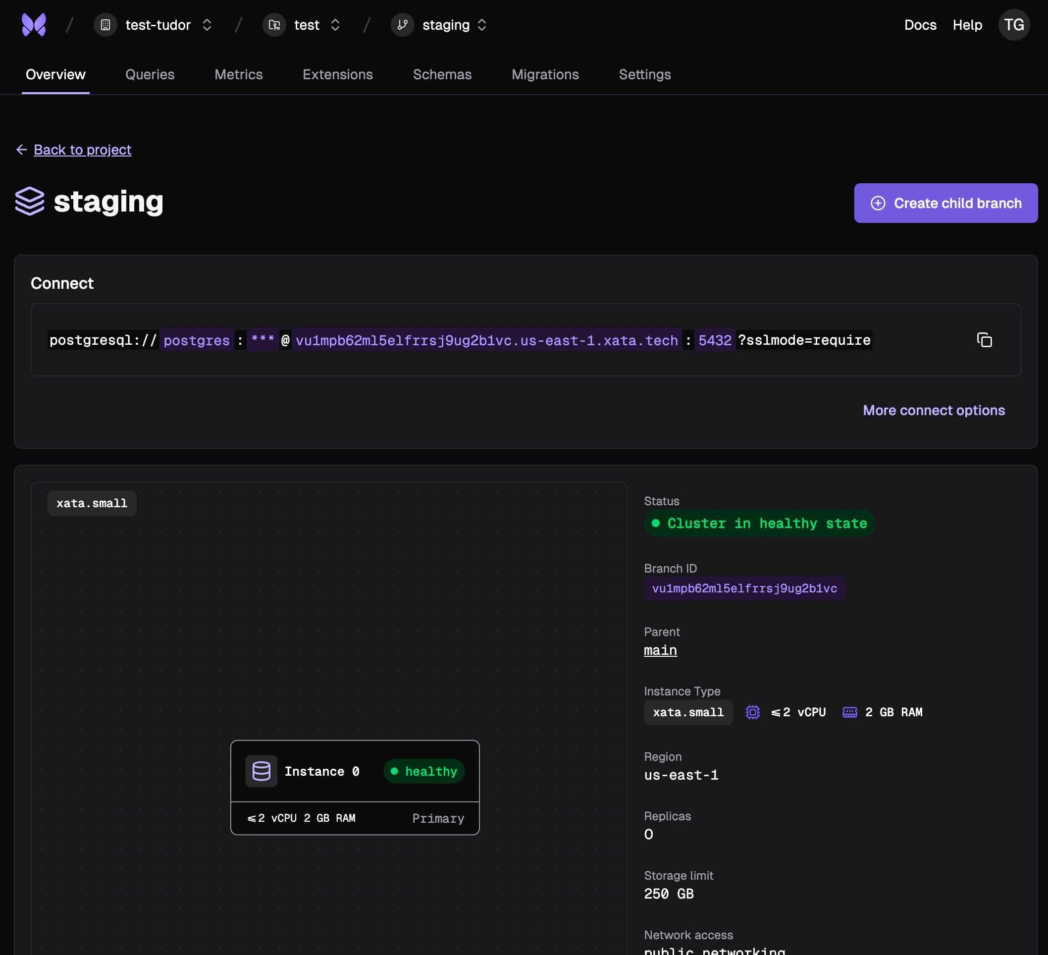 Branch overview showing connection string and database details