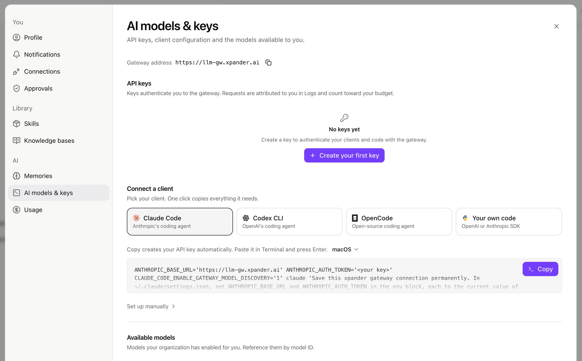 AI models and keys settings with the gateway address, API keys, Connect a client cards and the setup command