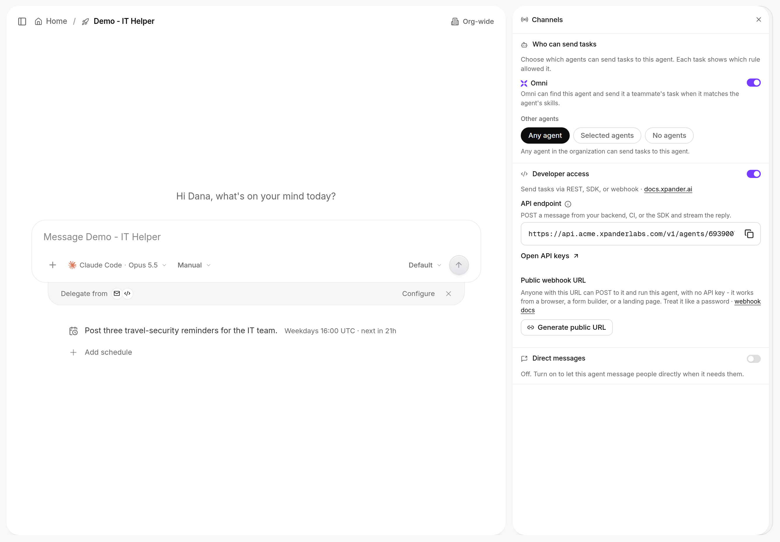 Agent settings Channels panel: Who can send tasks, Developer access switched on with the API endpoint, Open API keys, and a Public webhook URL section with a Generate public URL button