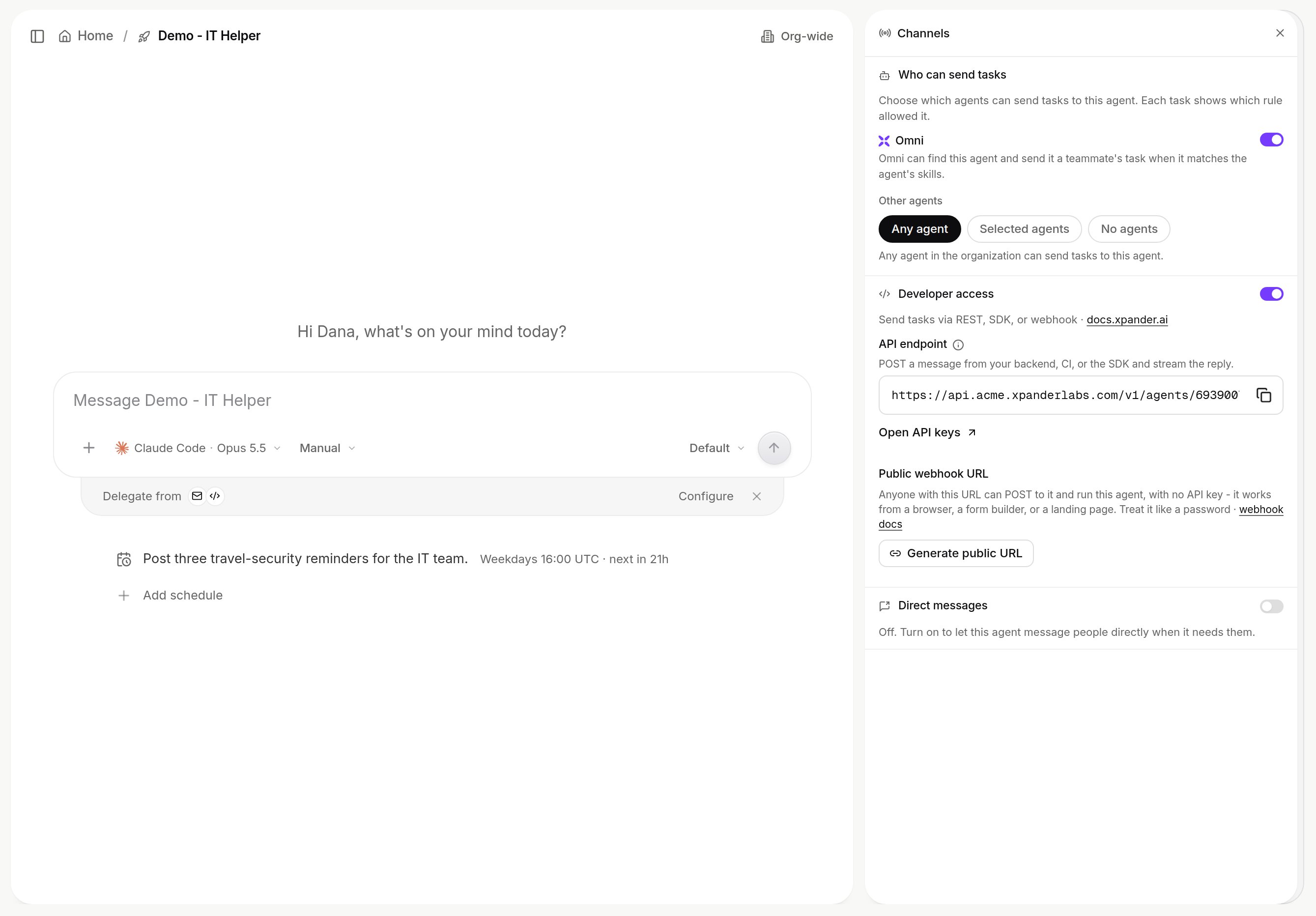 Agent settings Channels panel: Who can send tasks, Developer access switched on with the API endpoint, Open API keys, and a Public webhook URL section with a Generate public URL button