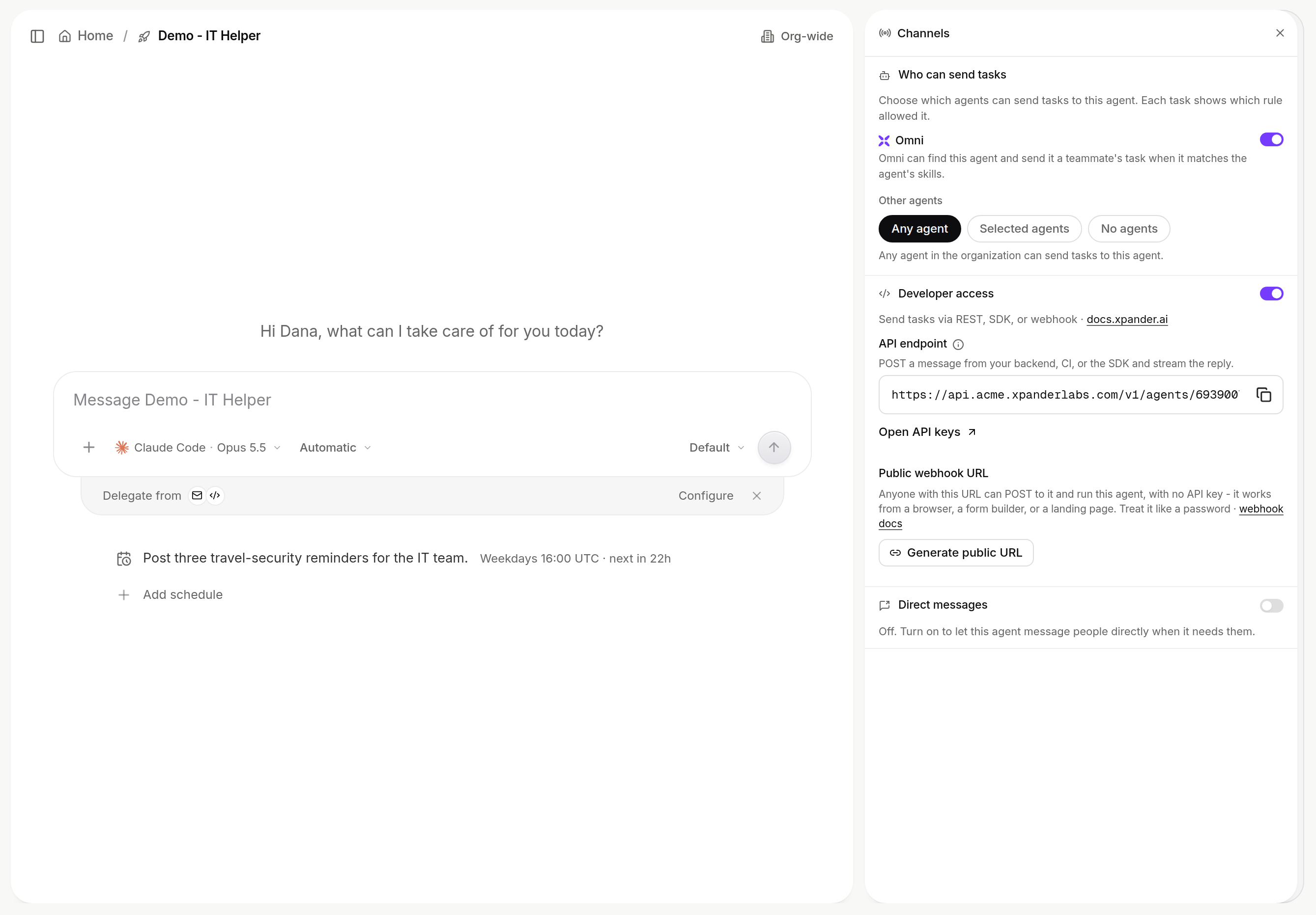 Channels pane with Who can send tasks, Developer access and Direct messages sections