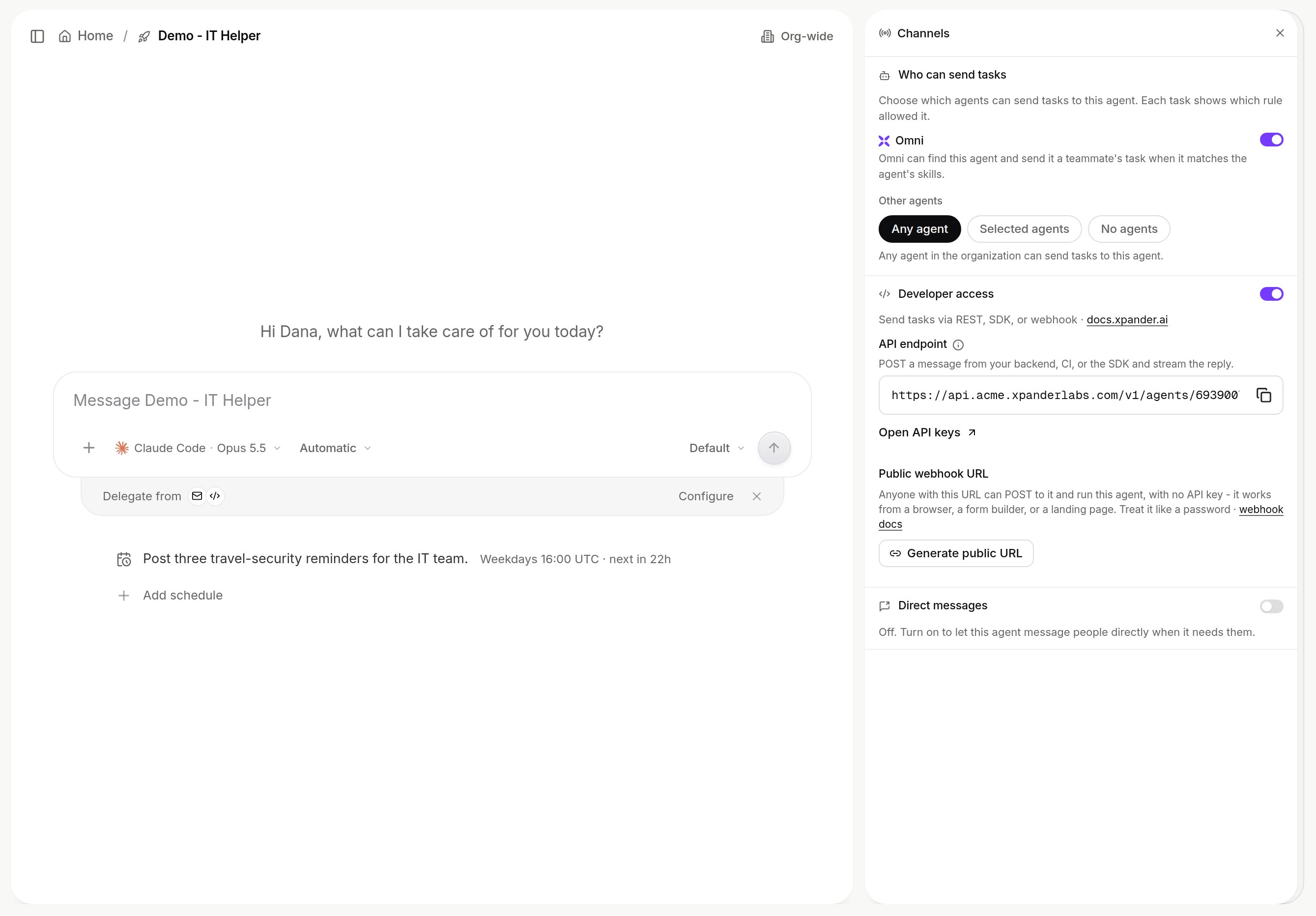 Channels pane with Who can send tasks, Developer access and Direct messages sections