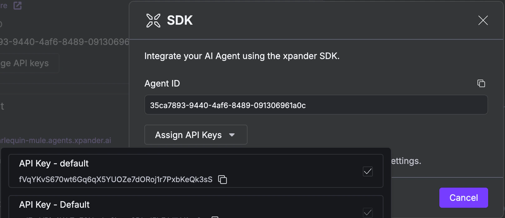 SDK modal with API key expanded and visible