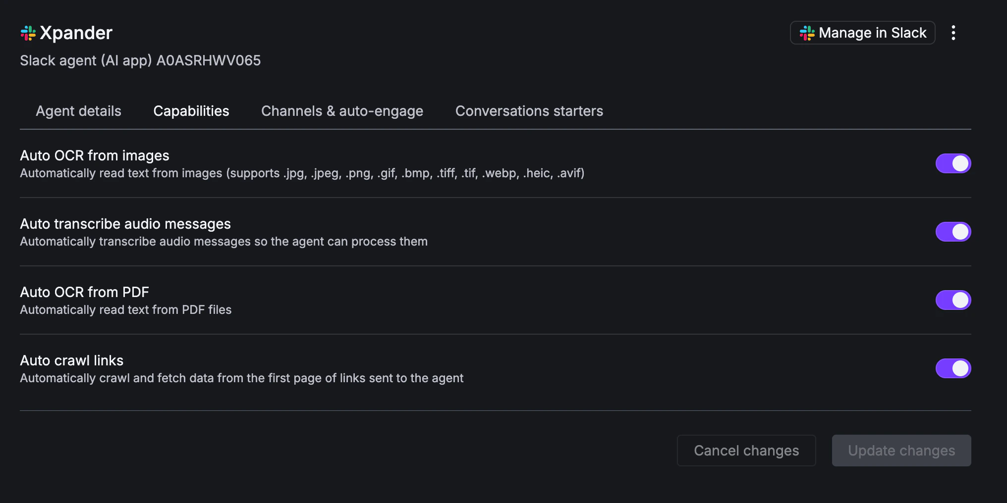 Capabilities tab with toggles for Auto OCR, audio transcription, PDF OCR, and link crawling